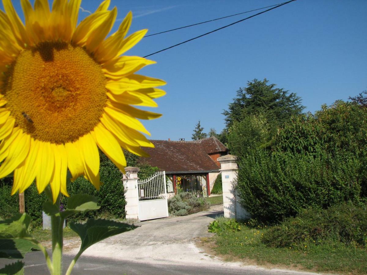 Bed and Breakfast Le Clos Du Petit Marray Chambourg-sur-Indre Экстерьер фото